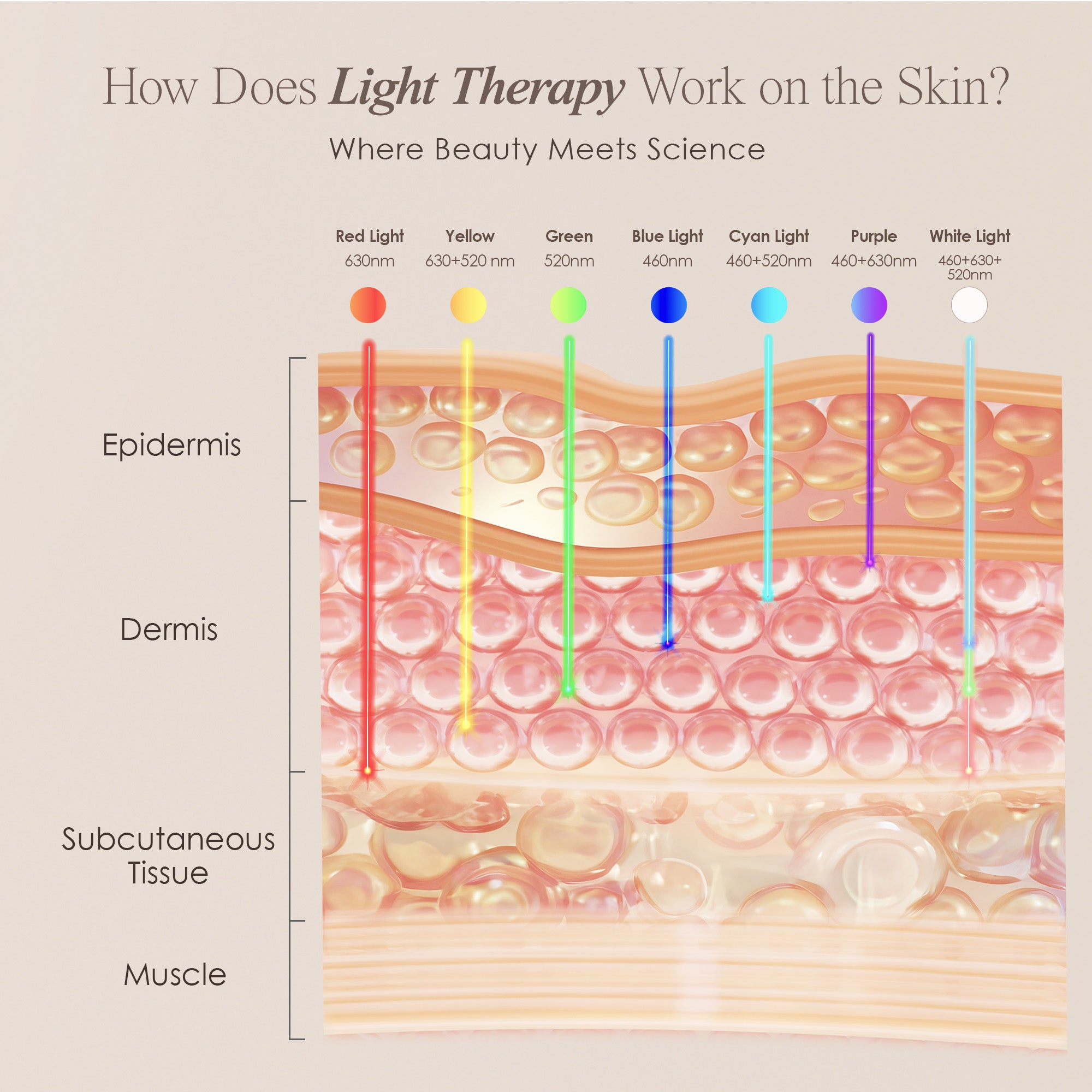 LightAura LED face mask showing skin infographic on how each wavelength penetrates the skin for skin rejuvenation