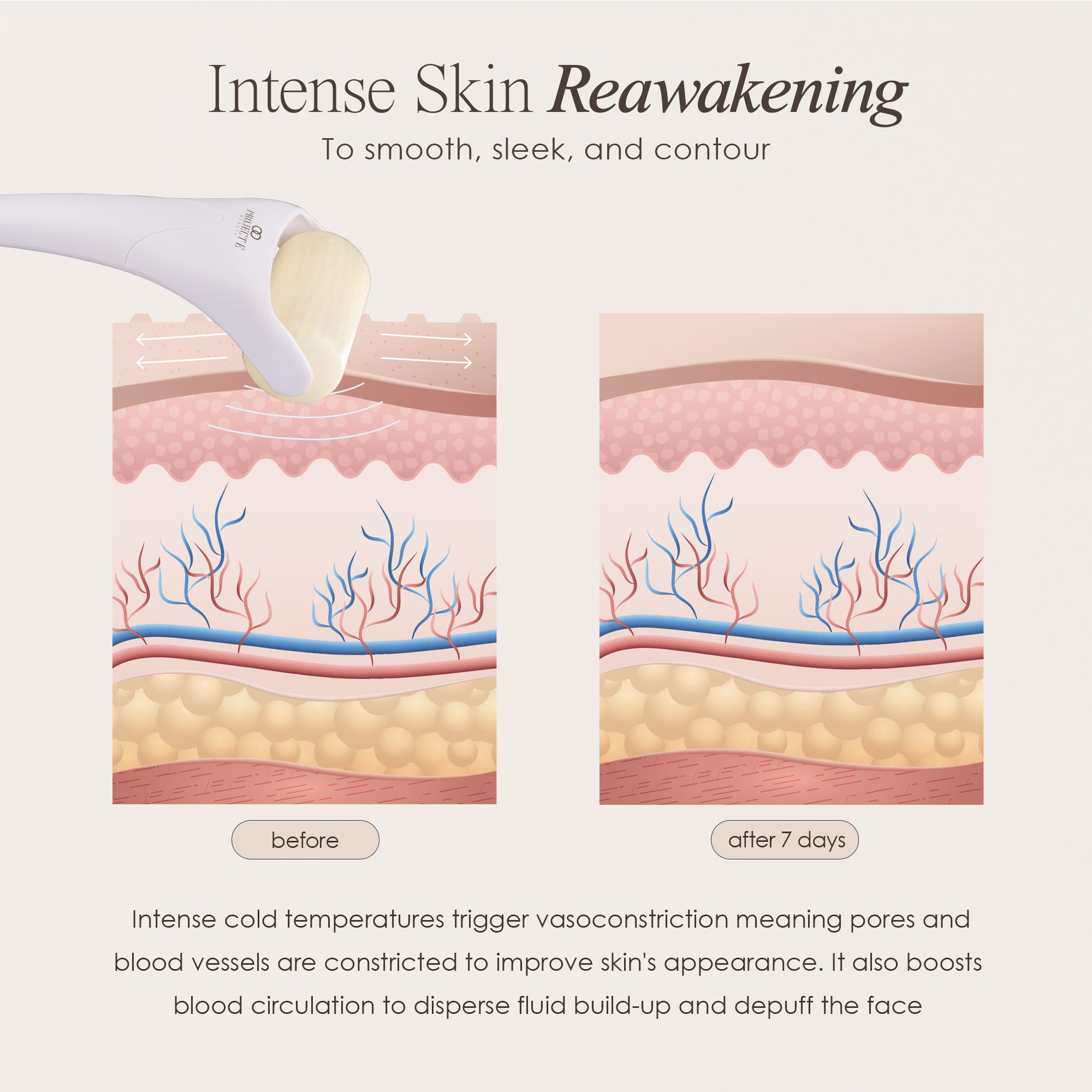 The Ice Roller facial massager showing skin infographic on how cold temperatures affect the skin